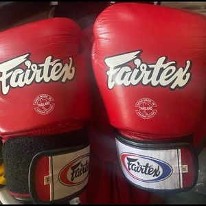 14oz Muay Thai Fairtex Gloves